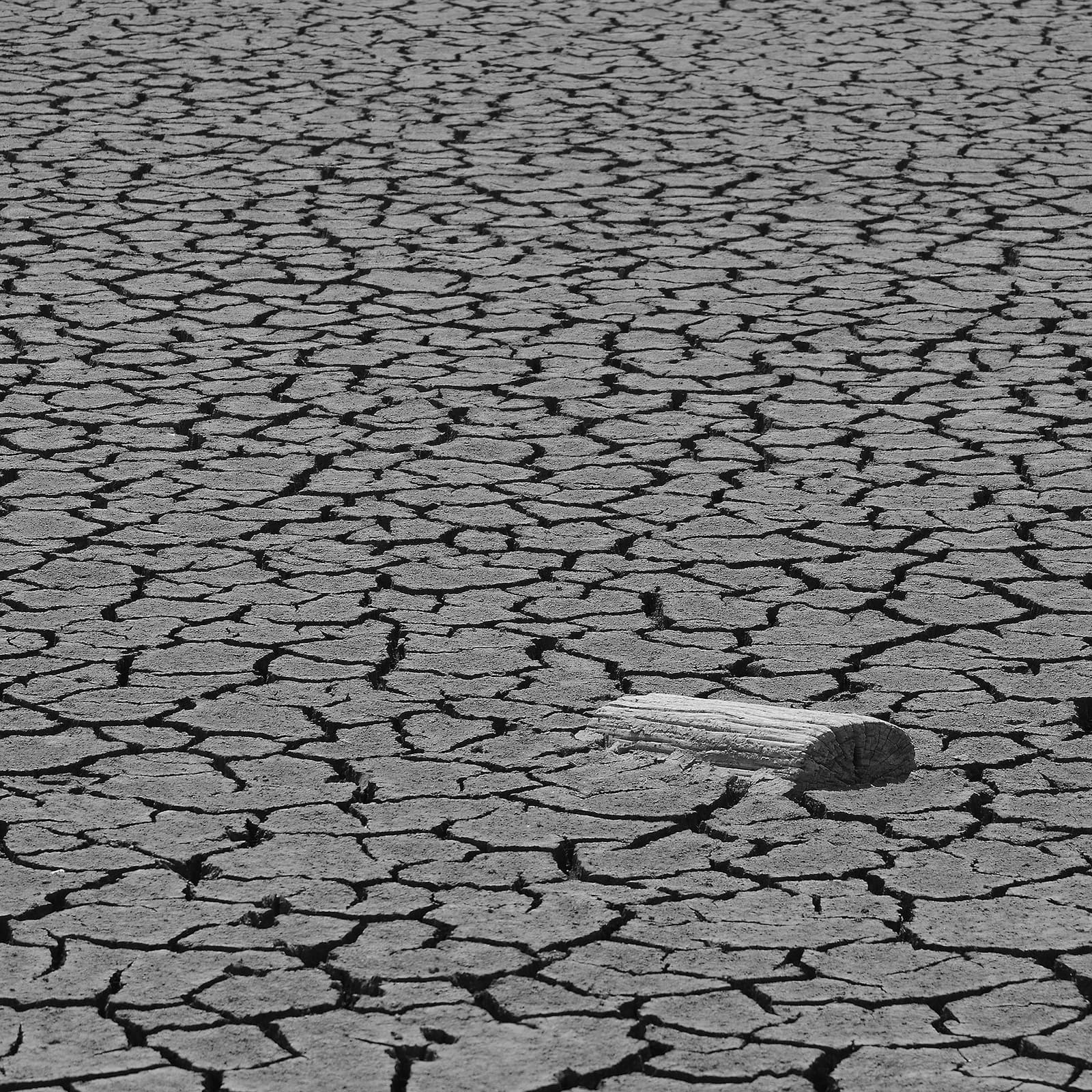 Droogte in de Camarque
